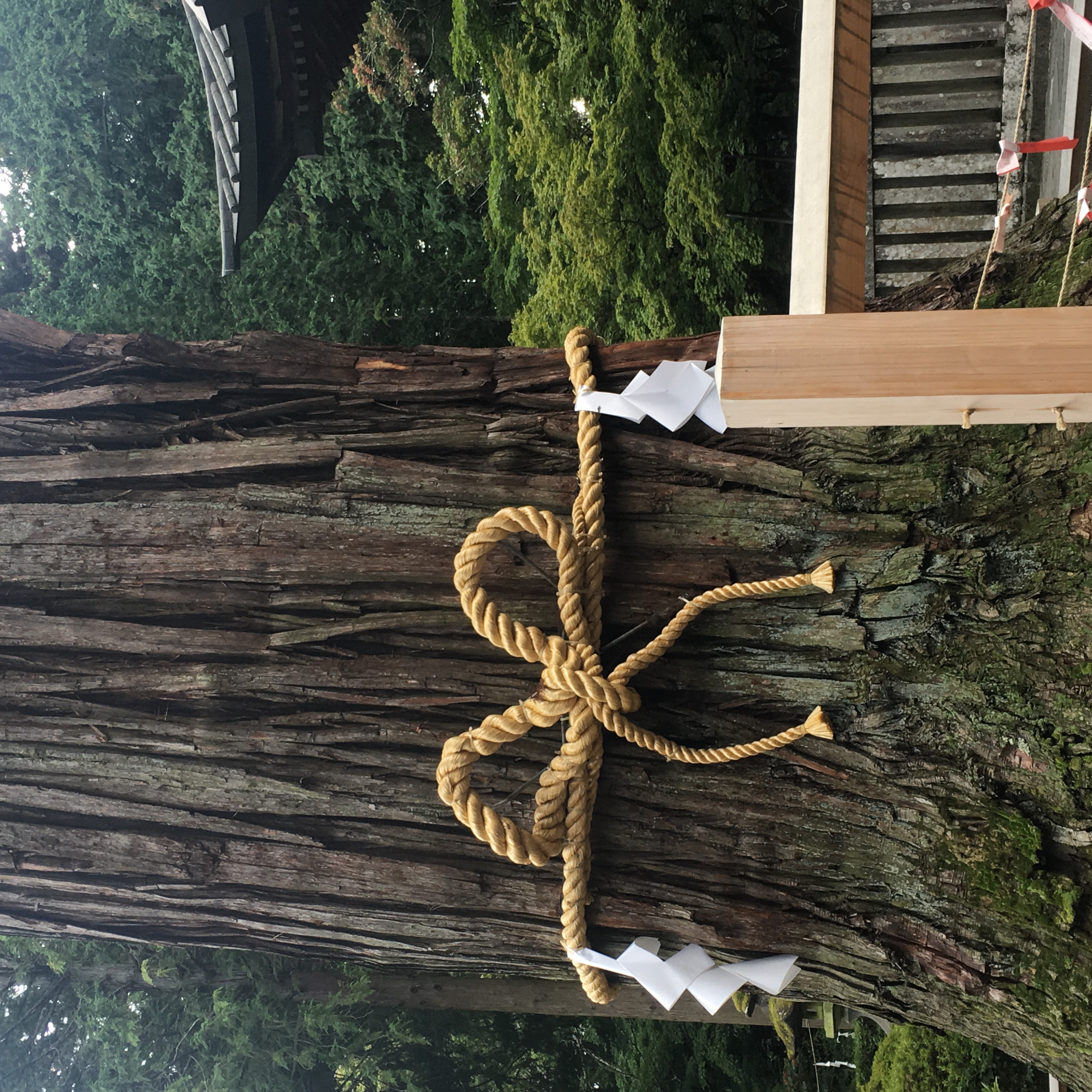 Mt. Fuj Retreat- Ra Mystery School 28-29 November 2026