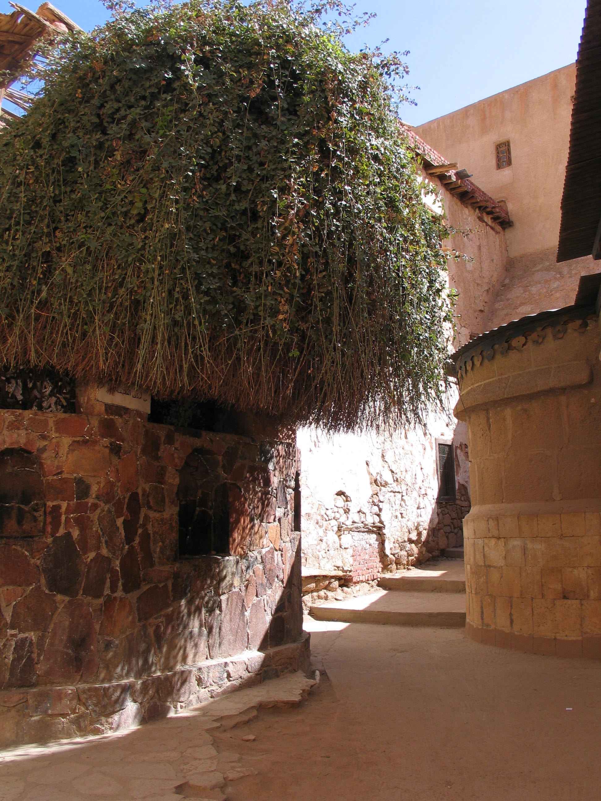 Mount Sinai Spiritual Pilgrimage & VIP Great Pyramid Visit 17-27 February 2026