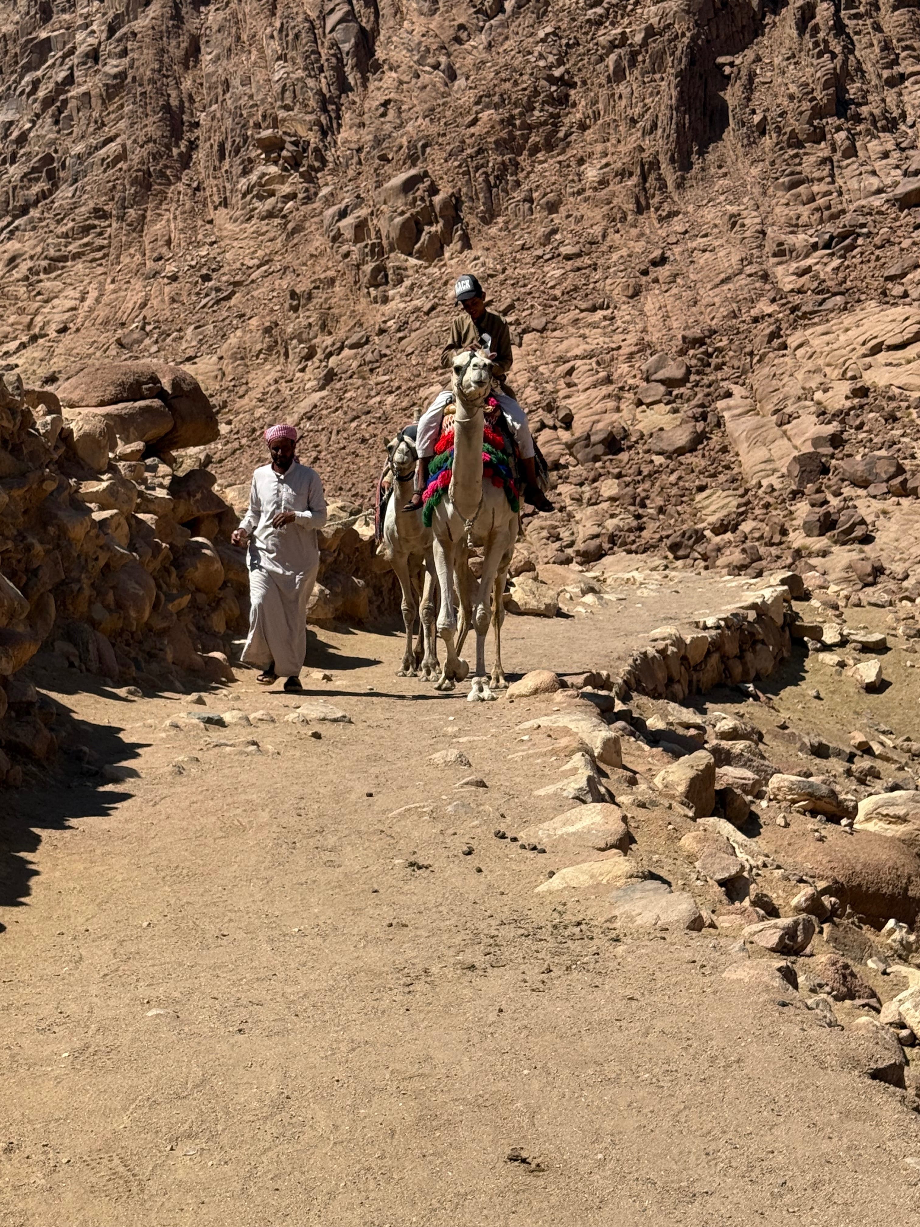 Mount Sinai Spiritual Pilgrimage & VIP Great Pyramid Visit 17-27 February 2026